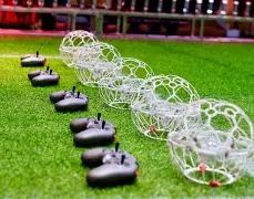 双色球揭秘,期雷精灵独,家红蓝杀码,广东体彩,广东体彩网,广东体彩网官网,体育彩票,体彩大乐透,竞彩足球,体彩公益