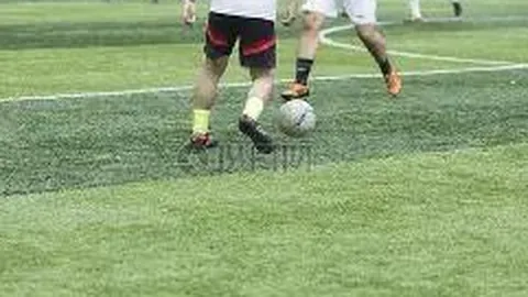 广东体彩网 资讯 095542 akl