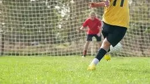 [梦幻奇境]揭秘大乐透2026年第014期后区五胆秘籍，一探专业投注心得！