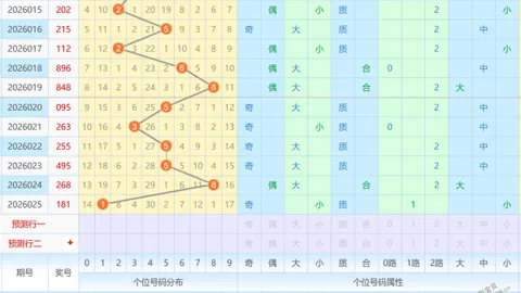 【伯乐慧眼】26012期大乐透精准预测：绝杀秘籍，独中04、08、28三码宝藏！