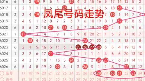 大乐透1214期高芸专家推荐：质合分析前区十码精选